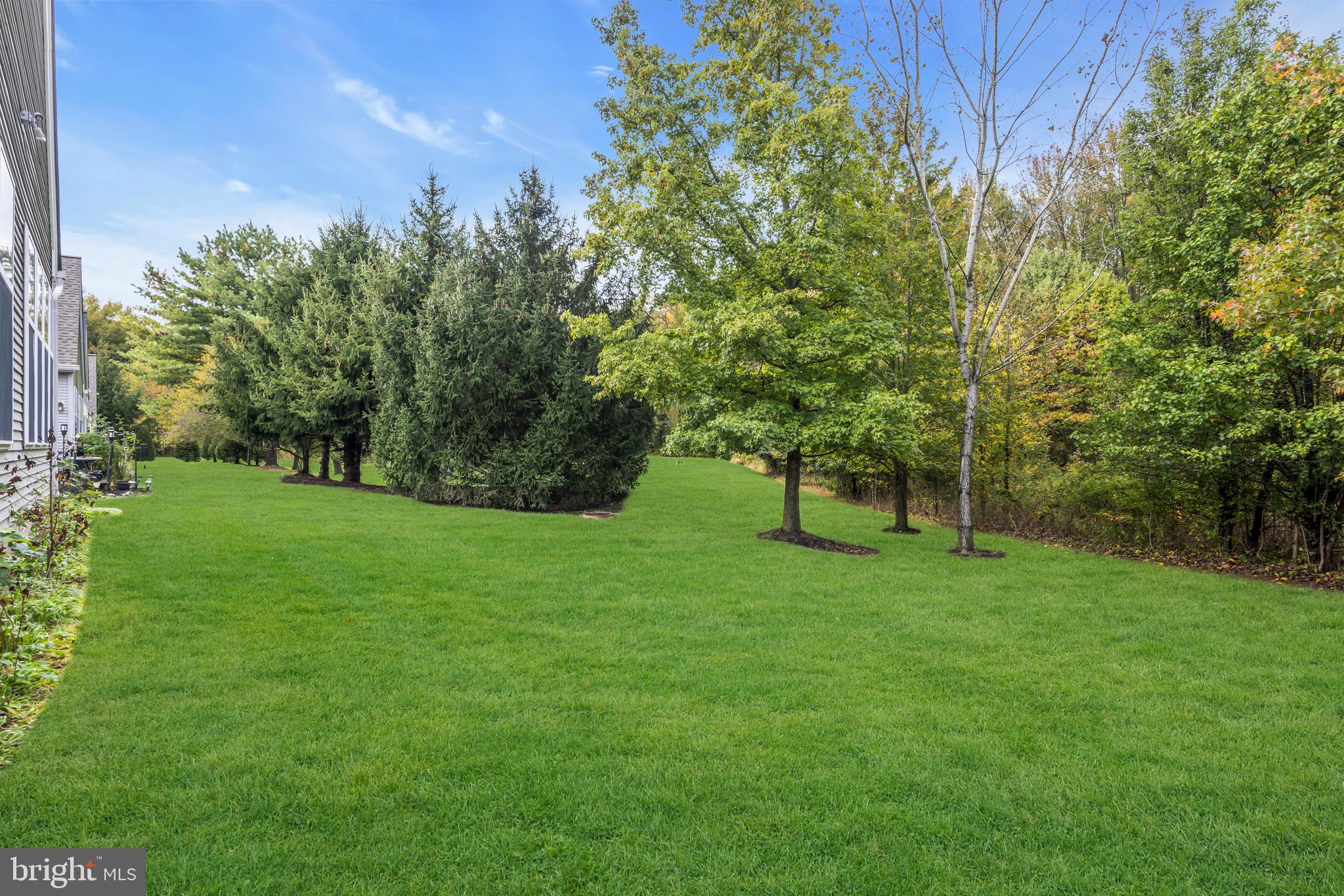 8 Barbados Court Hamilton, NJ 08691 - Photo 28 of 31 a view of a trees in a yard