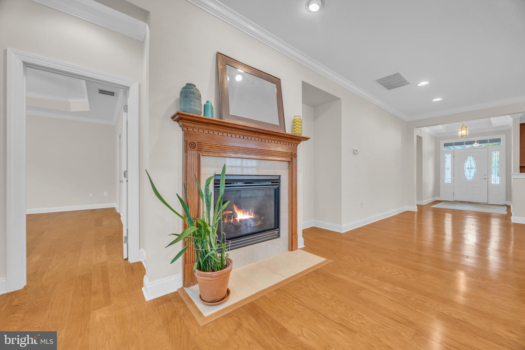8 Barbados Court Hamilton, NJ 08691 - Photo 7 of 31 a view of a livingroom with a fireplace and a potted plant