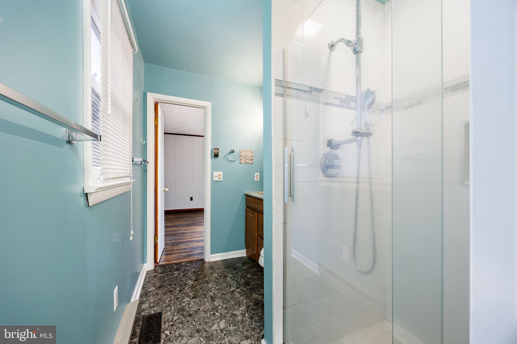 310 Zion Road Salisbury, MD 21804 - Photo 32 of 40 a bathroom with a shower and a mirror