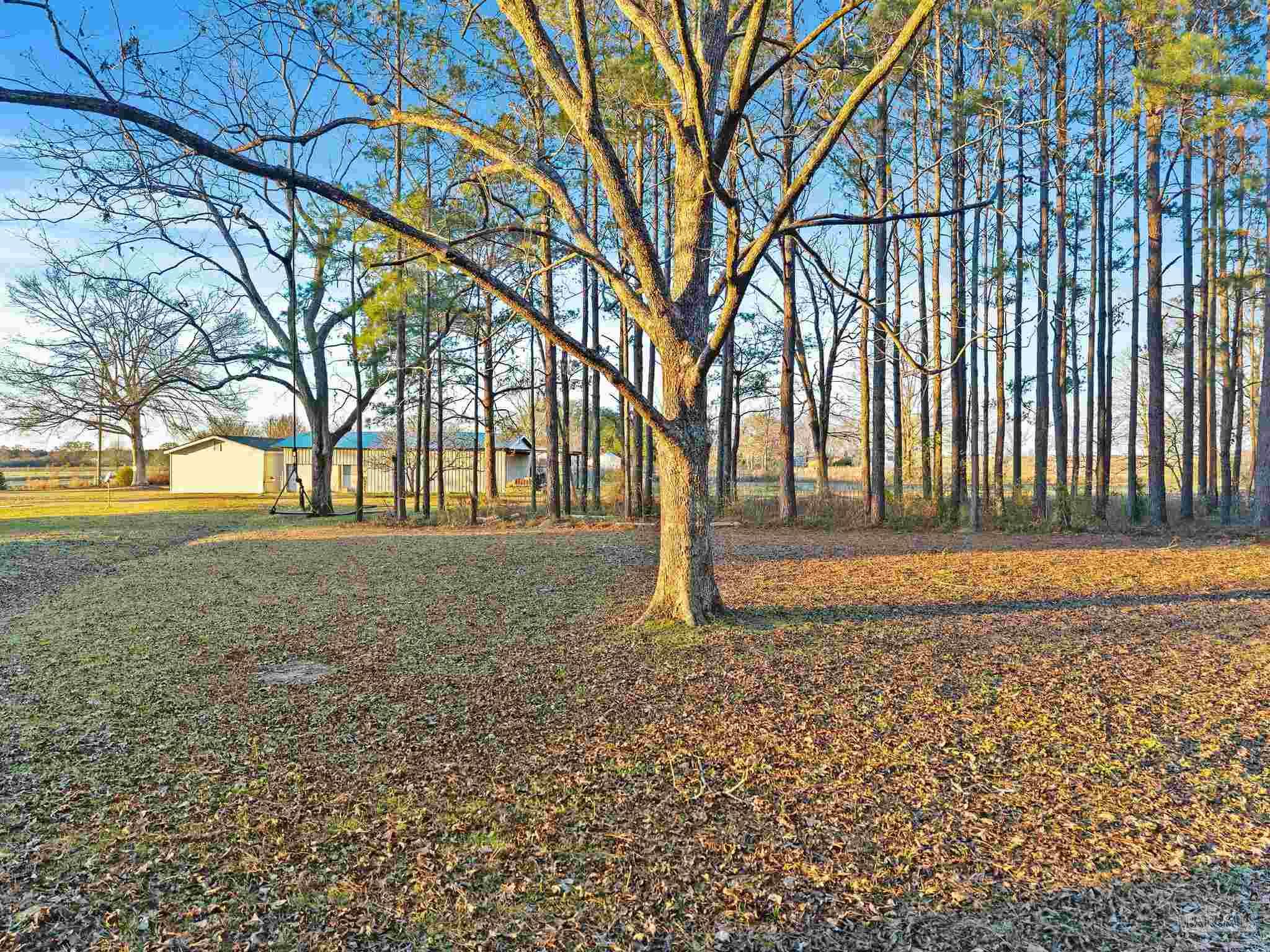 5024 Highway 21 Atmore, AL 36502 - Photo 35 of 38 a view of outdoor space with garden