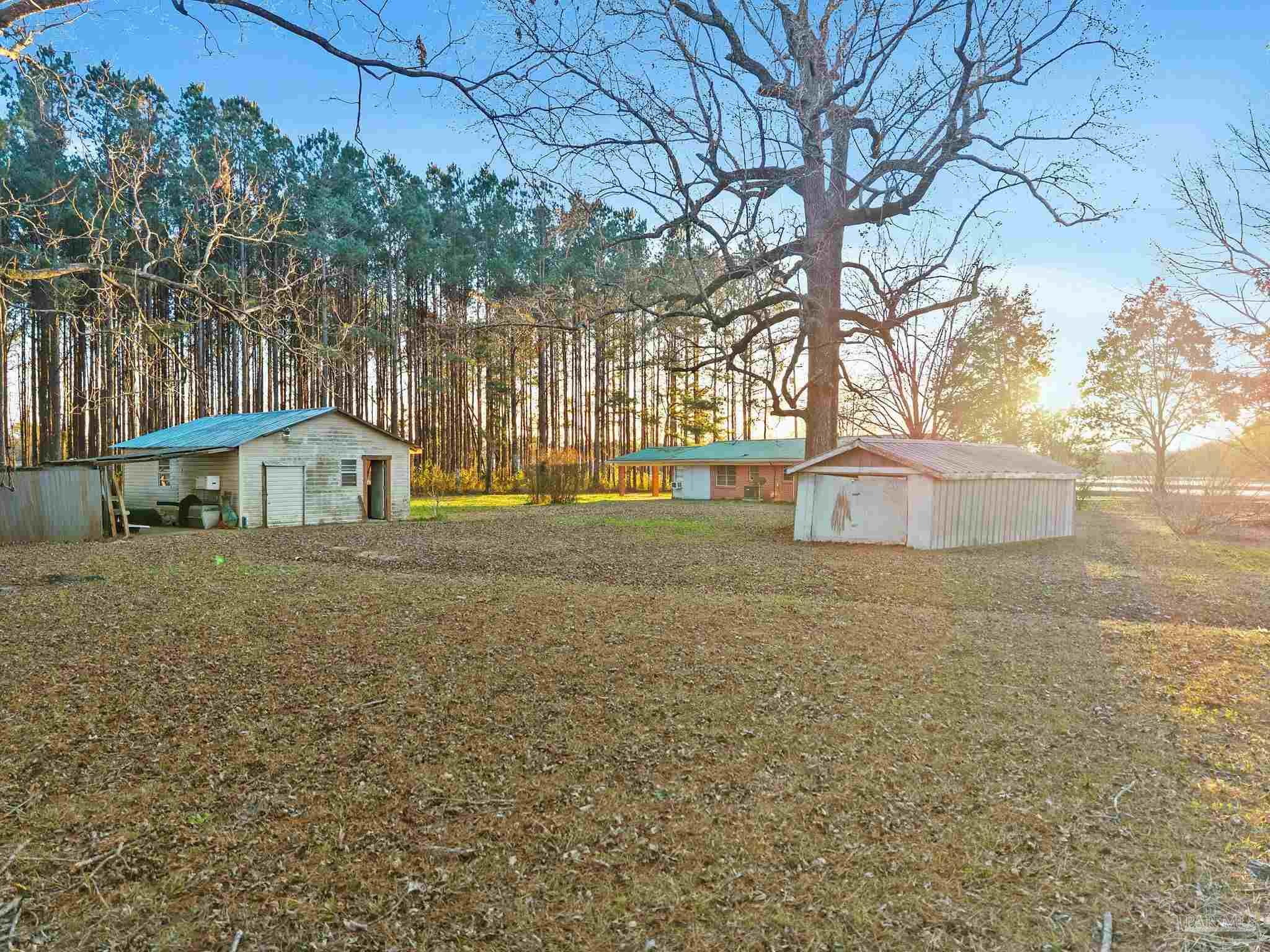 5024 Highway 21 Atmore, AL 36502 - Photo 36 of 38 a view of street with large trees