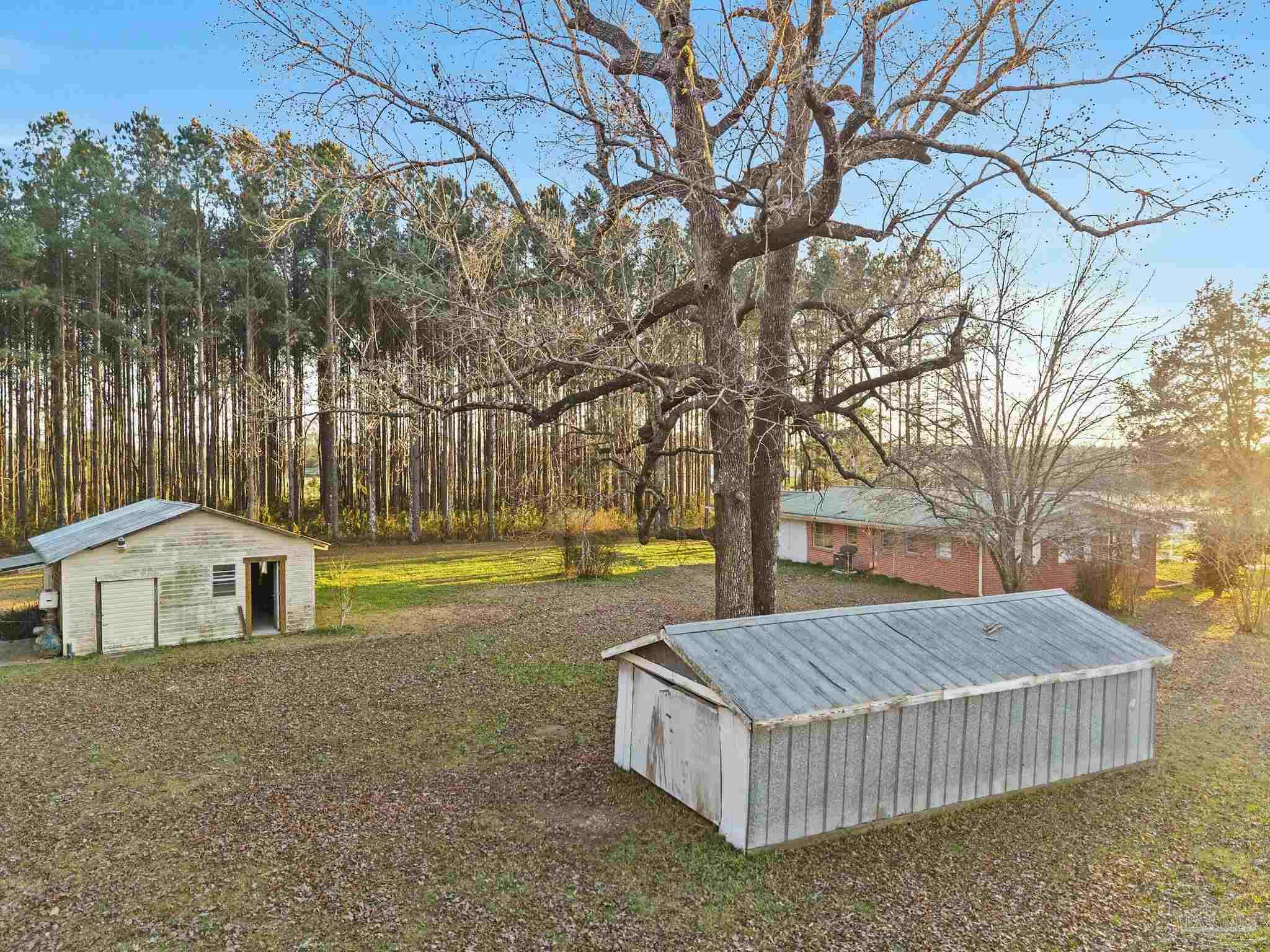 5024 Highway 21 Atmore, AL 36502 - Photo 37 of 38 a view of a house with a yard and tree s