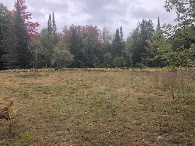 Pratt Road Frederic, MI 49733 - Photo 4 of 11 Gallery Image 4