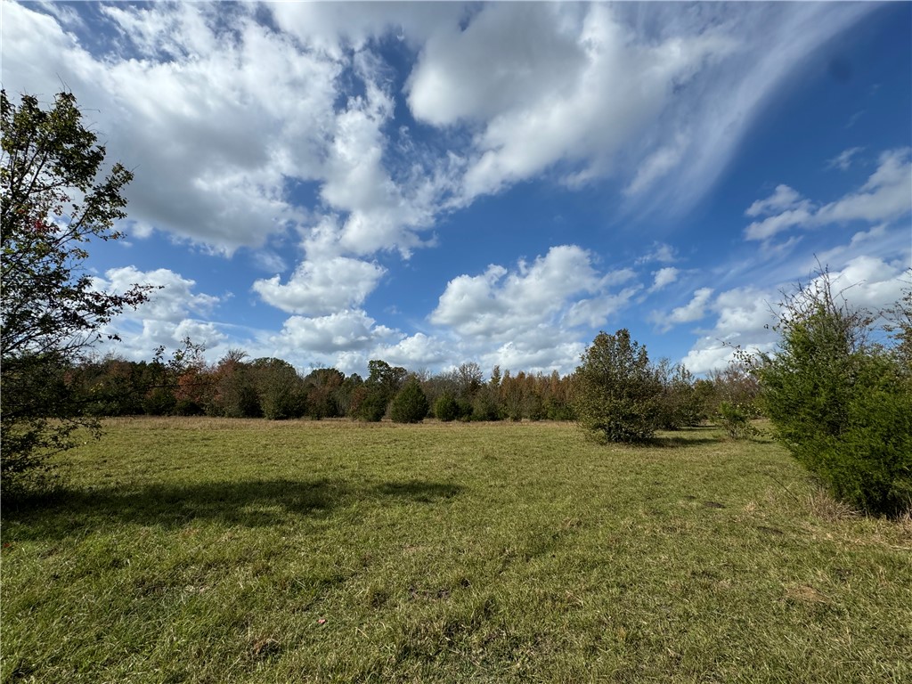 3 Seneca St Extension Calhoun Falls, SC 29628 - Photo 11 of 19