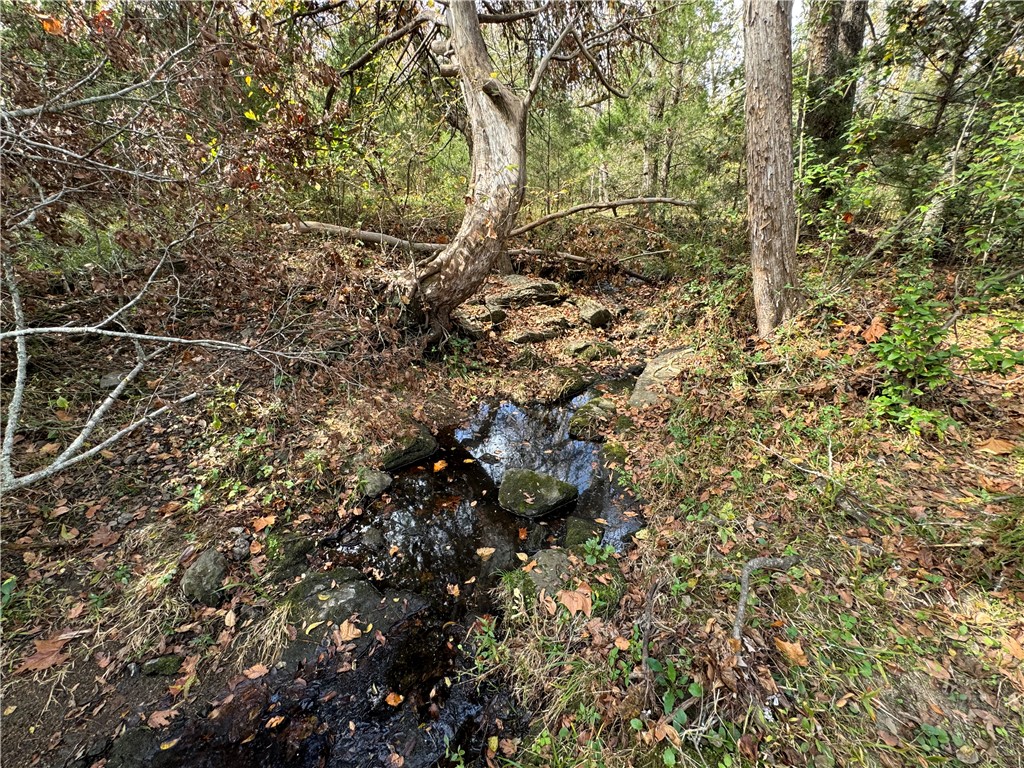 3 Seneca St Extension Calhoun Falls, SC 29628 - Photo 15 of 19
