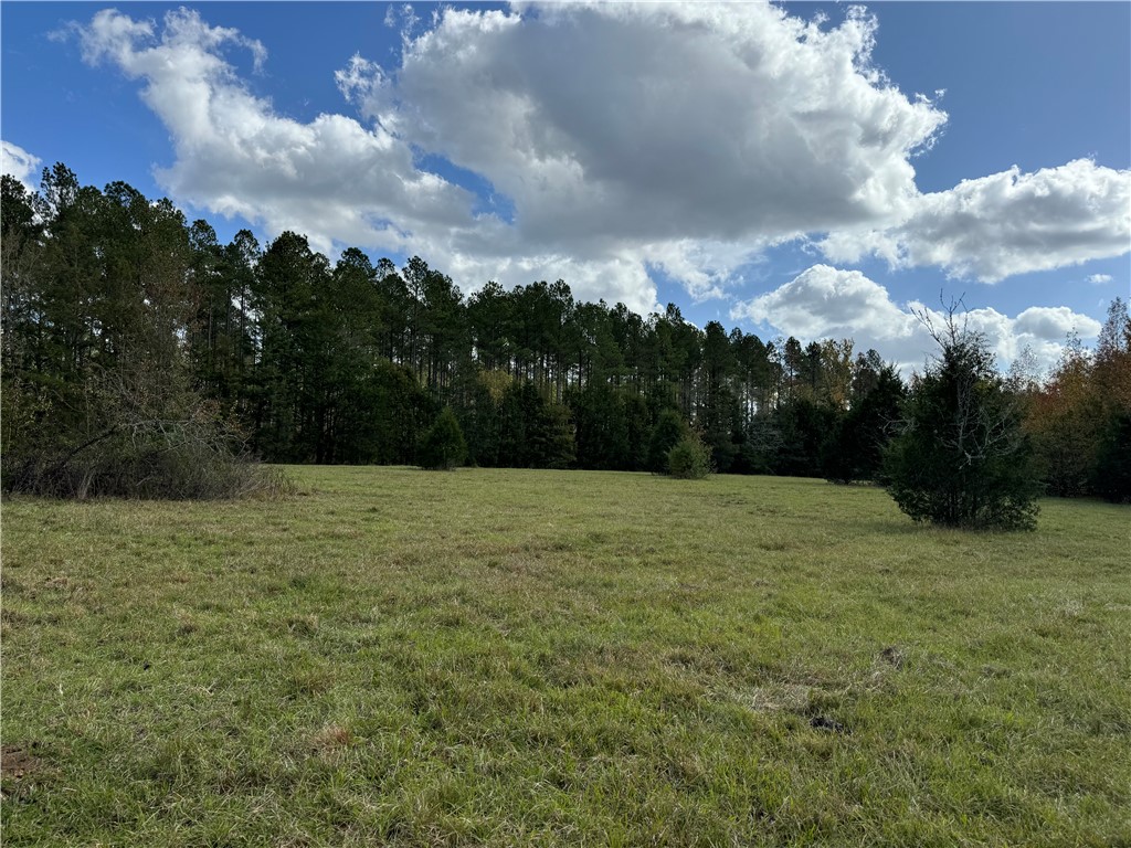 3 Seneca St Extension Calhoun Falls, SC 29628 - Photo 16 of 19