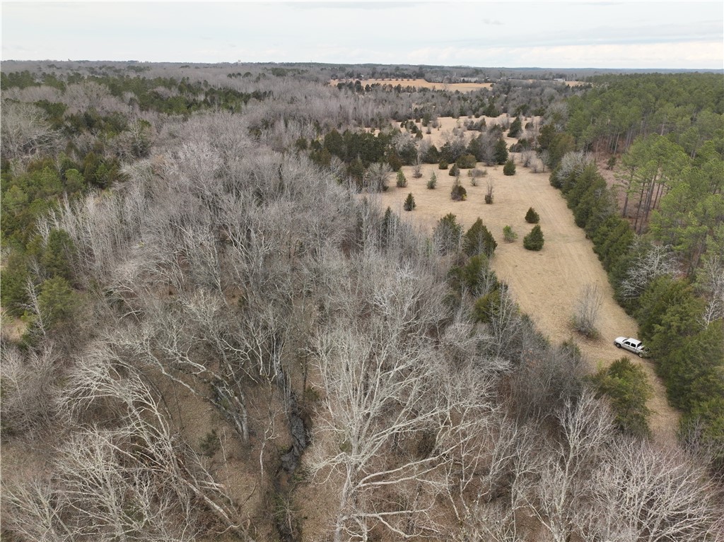 3 Seneca St Extension Calhoun Falls, SC 29628 - Photo 17 of 19 Expansive landscape featuring diverse woodlands and open fields, perfect for a private retreat.
