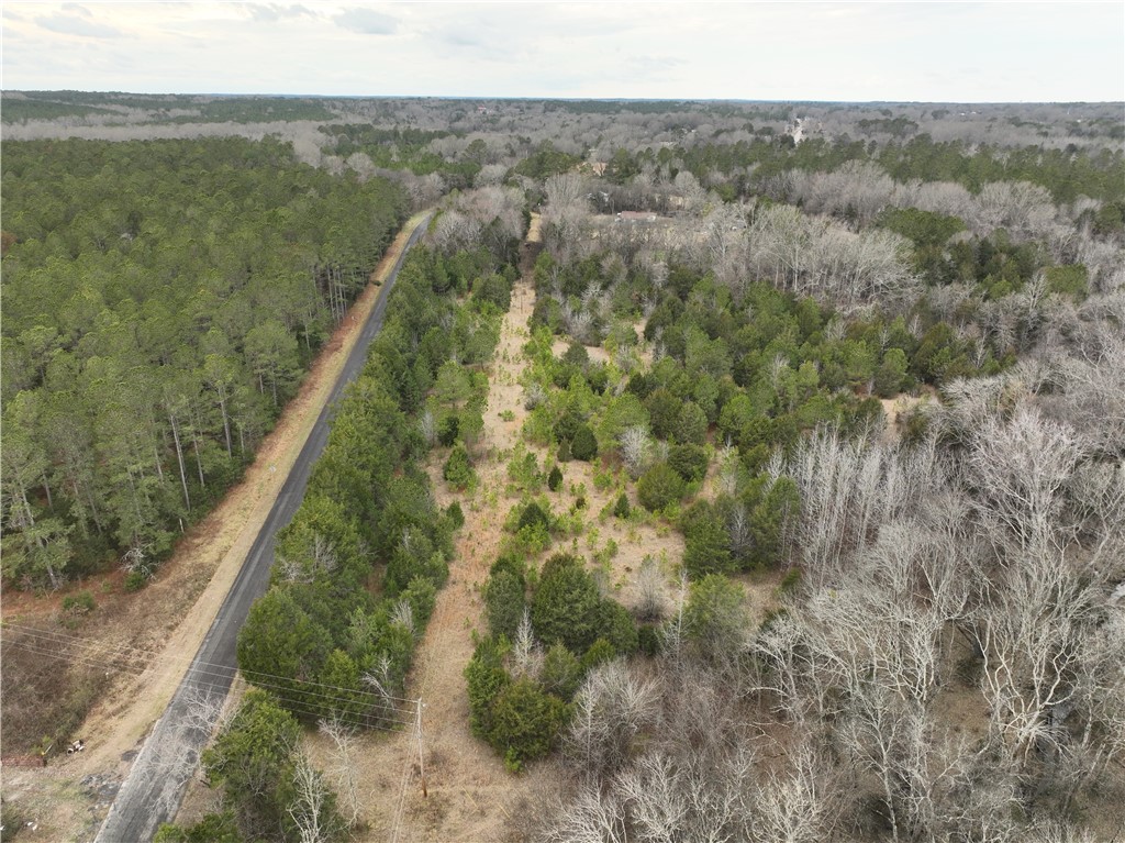 3 Seneca St Extension Calhoun Falls, SC 29628 - Photo 18 of 19 This expansive lot offers ample space for building, surrounded by mature trees.