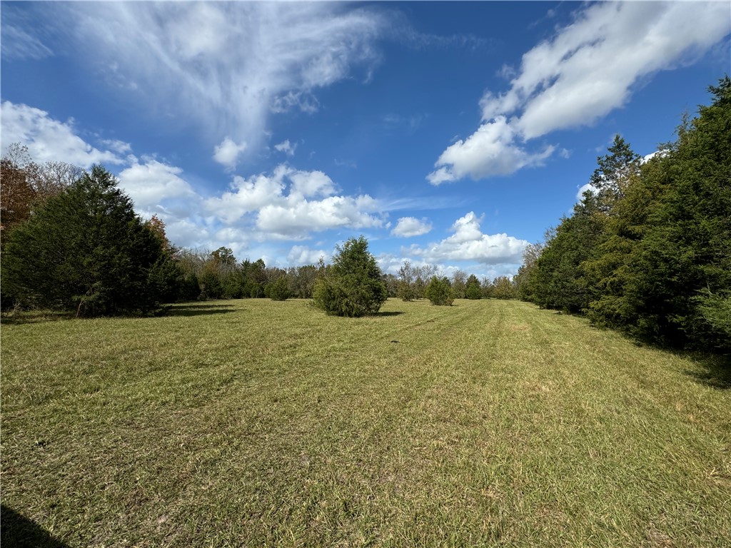 3 Seneca St Extension Calhoun Falls, SC 29628 - Photo 9 of 19