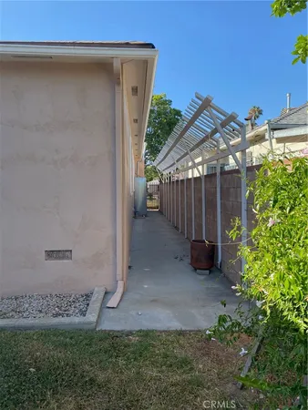 a plant in a yard