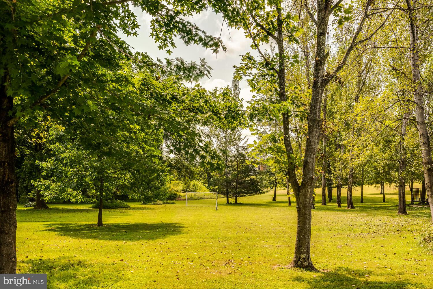 16771 Thunder Road Haymarket, VA 20169 - Photo 45 of 55