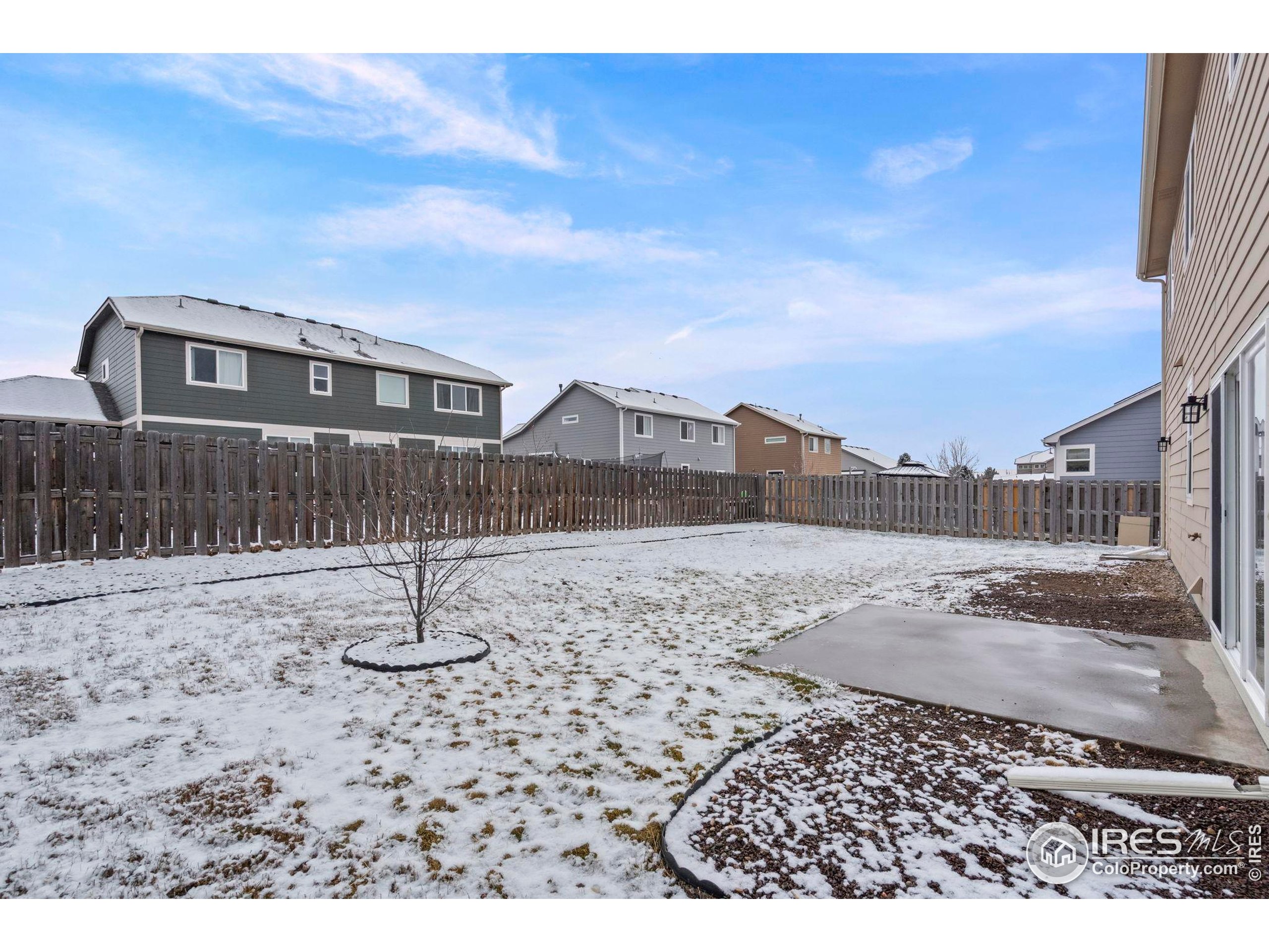 7324 Atlantis Street Wellington, CO 80549 - Photo 25 of 31 a front view of a house with a yard