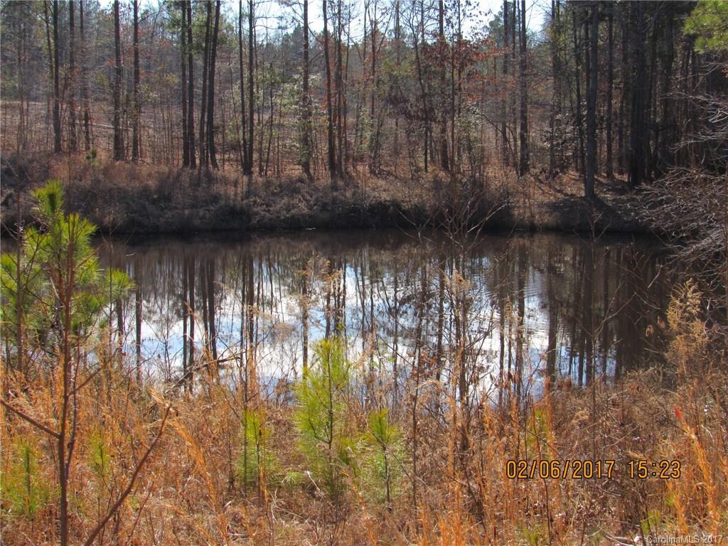 3370 New Hope Road Lancaster, SC 29720 - Photo 21 of 22 Gallery Image 21