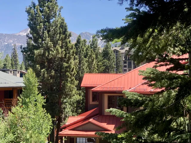 an outdoor space with garden