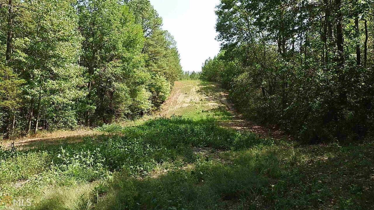 0 Northeast Nicklesville Road, Unit 9637 Ranger, GA 30734 - Photo 12 of 19 a view of a lush green space