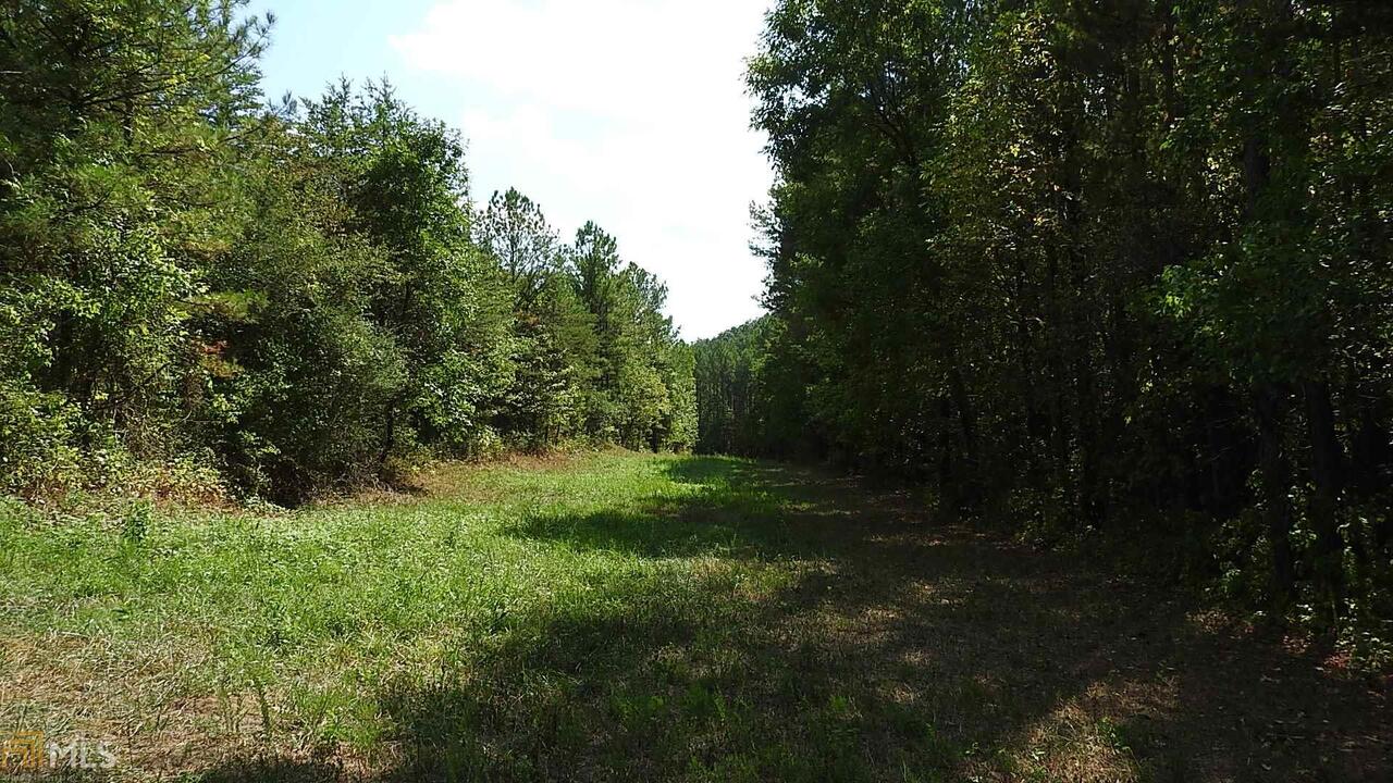 0 Northeast Nicklesville Road, Unit 9637 Ranger, GA 30734 - Photo 14 of 19 a view of outdoor space and yard