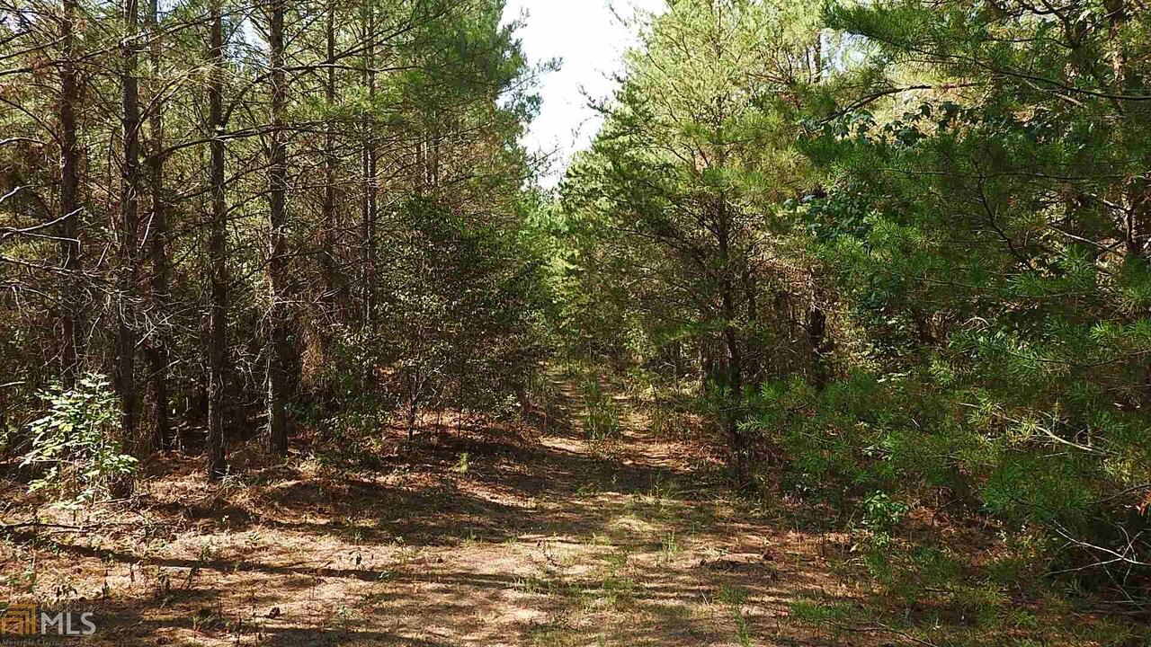 0 Northeast Nicklesville Road, Unit 9637 Ranger, GA 30734 - Photo 15 of 19 a view of a tree