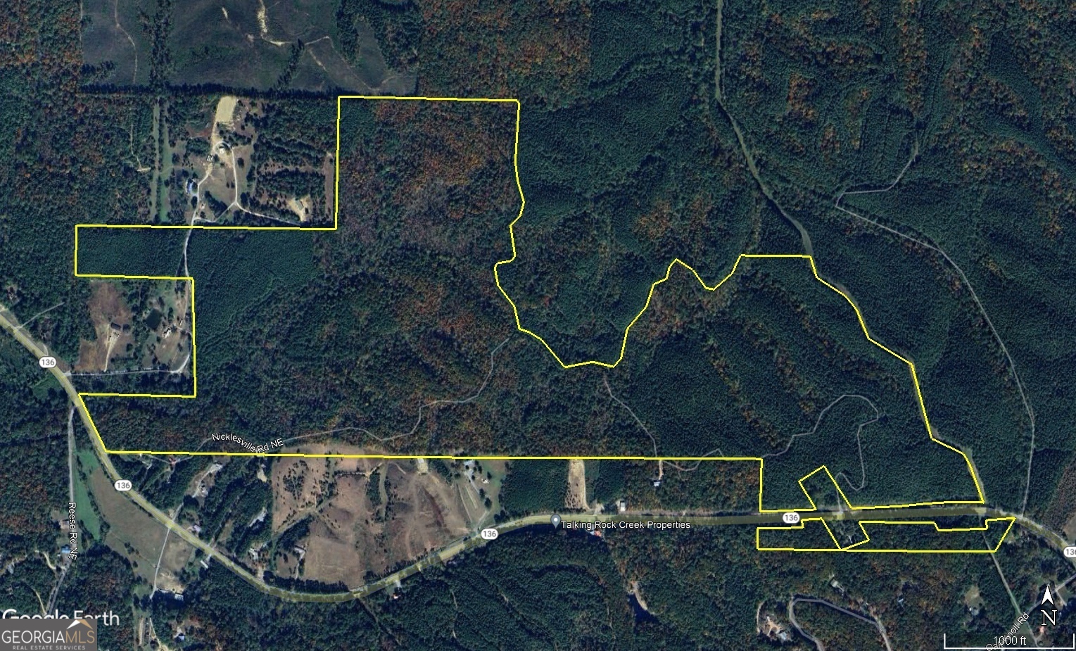 0 Northeast Nicklesville Road, Unit 9637 Ranger, GA 30734 - Photo 17 of 19 a bird view of house