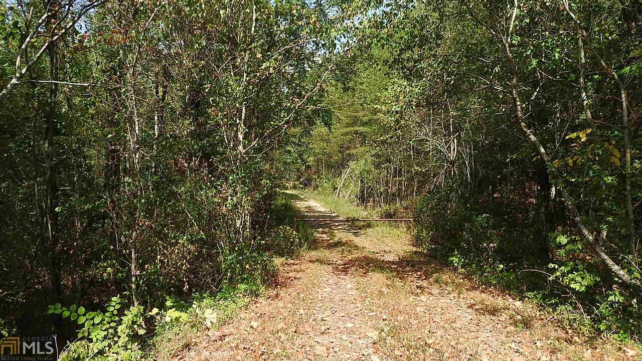 0 Northeast Nicklesville Road, Unit 9637 Ranger, GA 30734 - Photo 2 of 19 a view of a yard with large trees