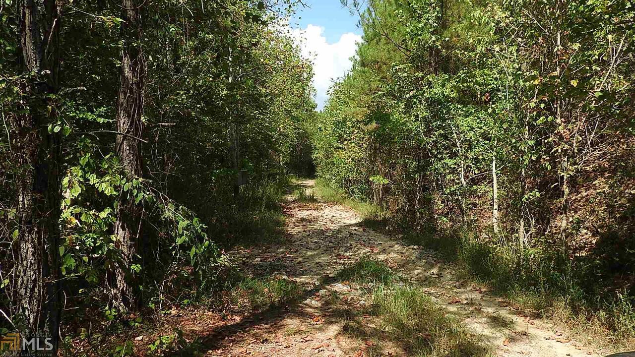 0 Northeast Nicklesville Road, Unit 9637 Ranger, GA 30734 - Photo 3 of 19 a view of a forest with trees in the background
