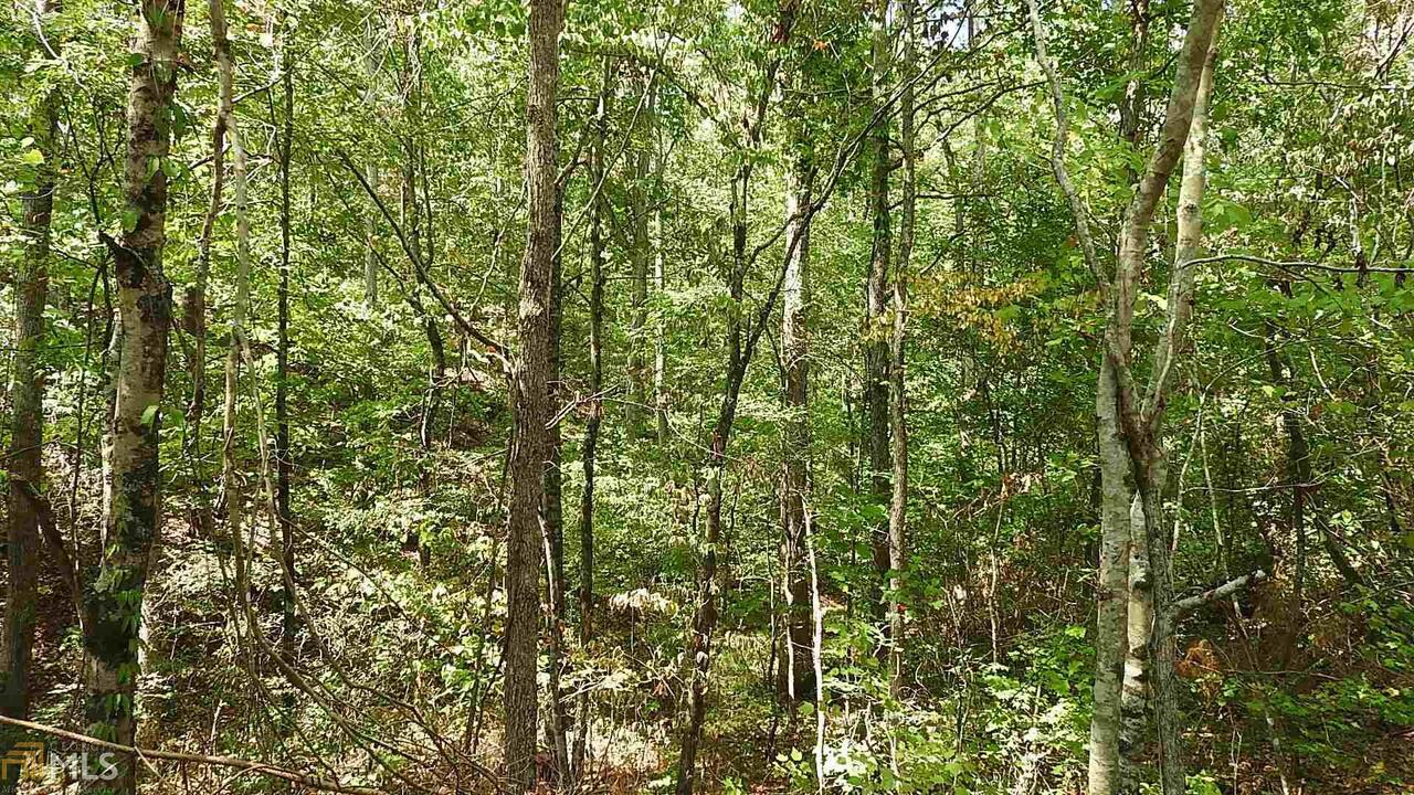 0 Northeast Nicklesville Road, Unit 9637 Ranger, GA 30734 - Photo 4 of 19 a view of a lush green forest
