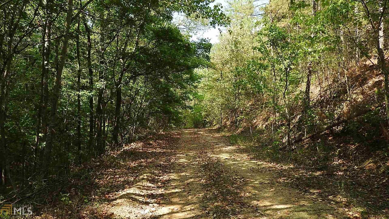 0 Northeast Nicklesville Road, Unit 9637 Ranger, GA 30734 - Photo 5 of 19 a view of a yard with large trees
