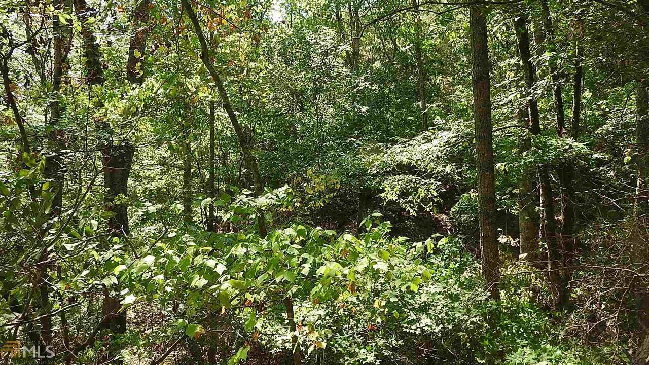0 Northeast Nicklesville Road, Unit 9637 Ranger, GA 30734 - Photo 7 of 19 a view of a tree