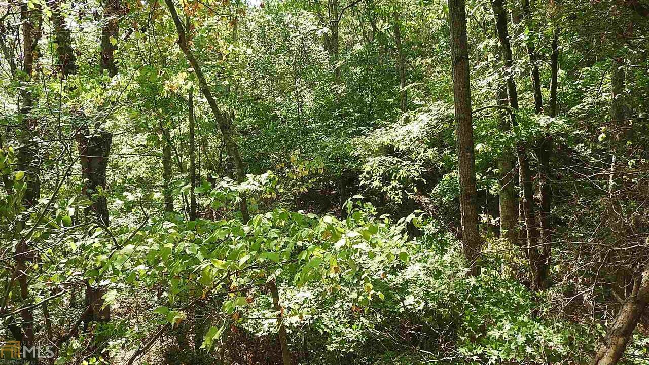 0 Northeast Nicklesville Road, Unit 9637 Ranger, GA 30734 - Photo 8 of 19 a view of a lush green forest