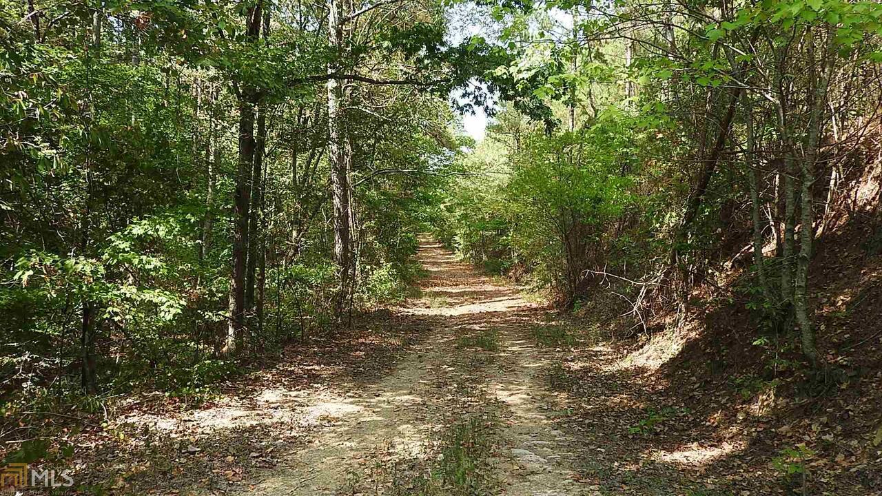 0 Northeast Nicklesville Road, Unit 9637 Ranger, GA 30734 - Photo 9 of 19 a view of outdoor space and yard