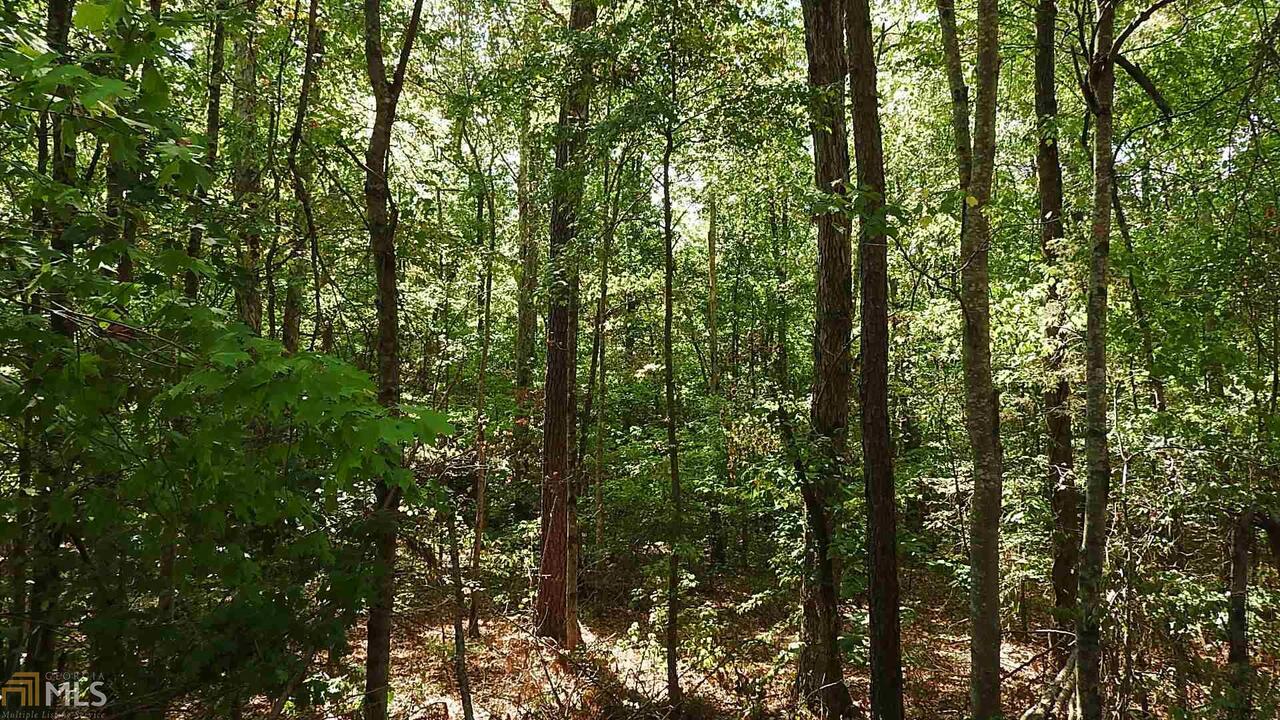 0 Northeast Nicklesville Road, Unit 9637 Ranger, GA 30734 - Photo 10 of 19 a view of a lush green forest