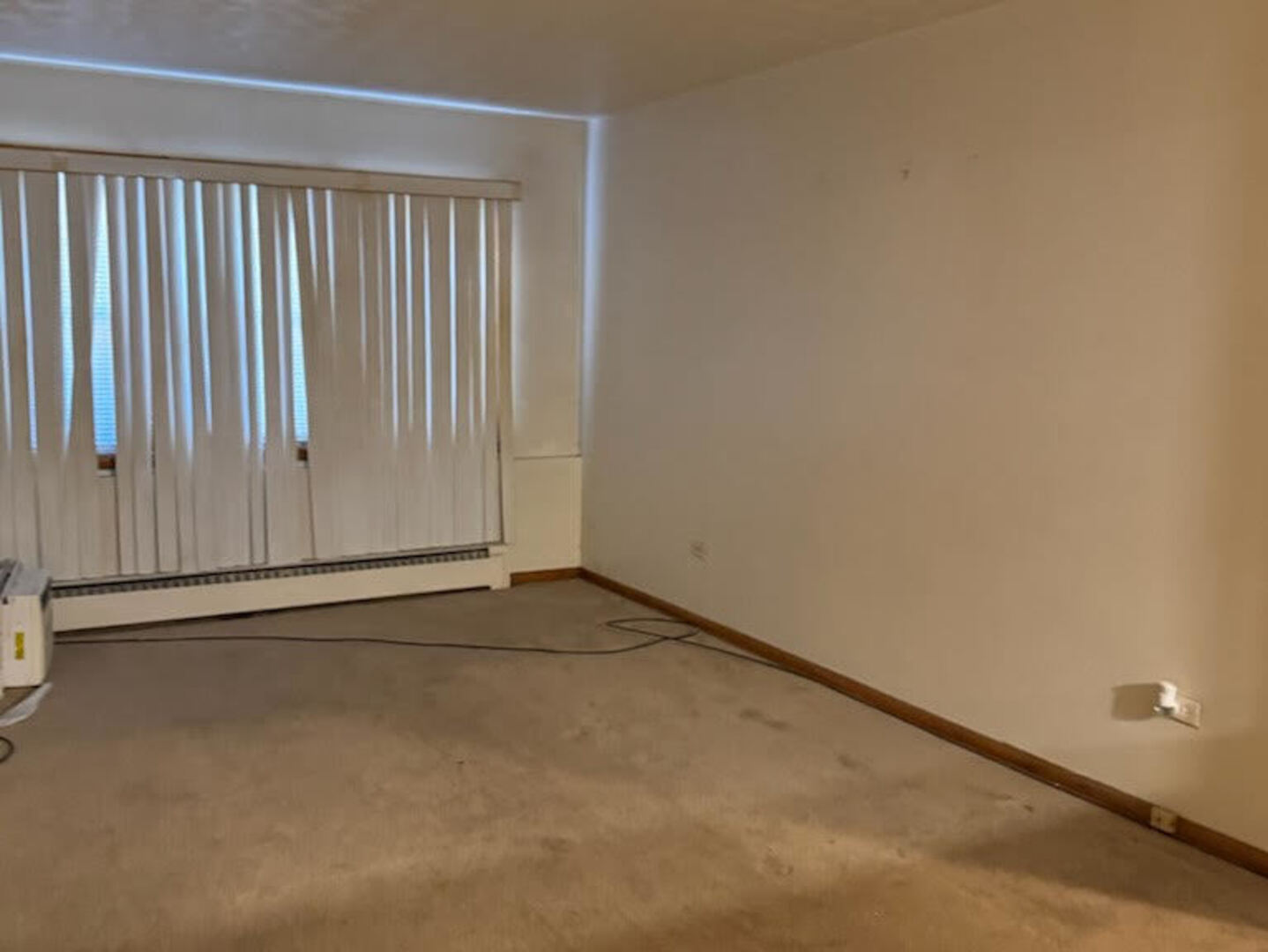 9209 South Cottage Grove Avenue, Unit A6 Chicago, IL 60619 - Photo 9 of 12