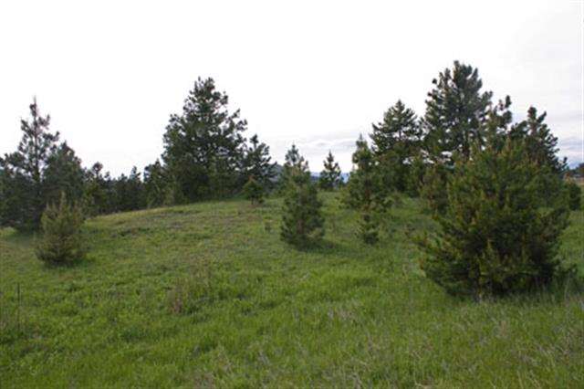 682 Open Skies Road Newport, WA 99156 - Photo 2 of 7 Gallery Image 2