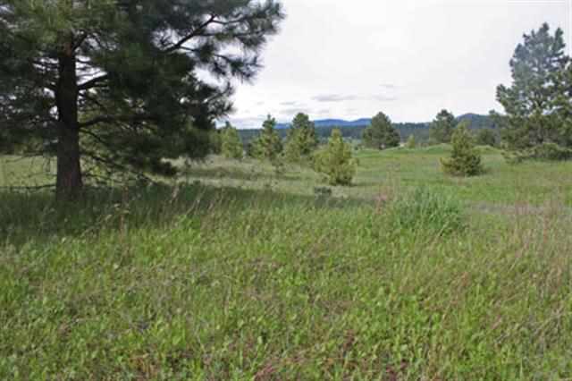 682 Open Skies Road Newport, WA 99156 - Photo 5 of 7 Gallery Image 5
