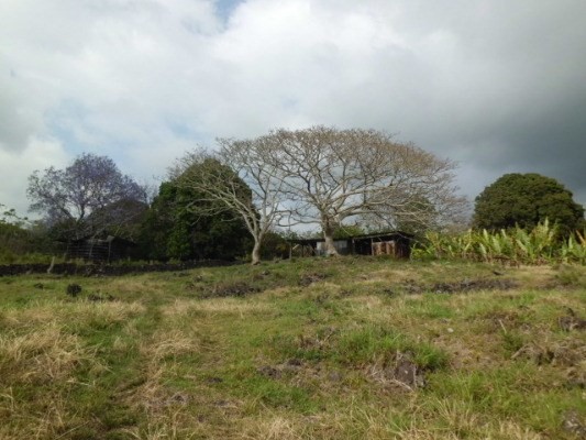 77-3147 Kuni O Road Holualoa, HI 96725 - Photo 4 of 7