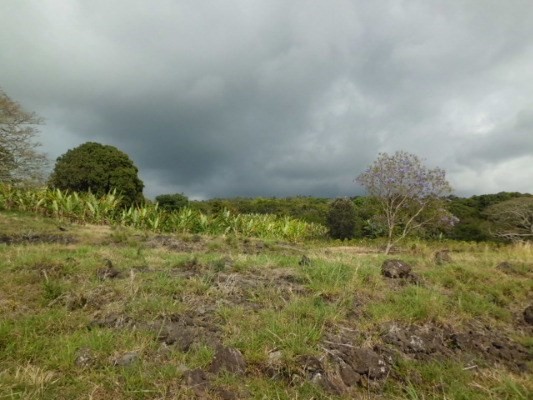 77-3147 Kuni O Road Holualoa, HI 96725 - Photo 5 of 7 a view of a field