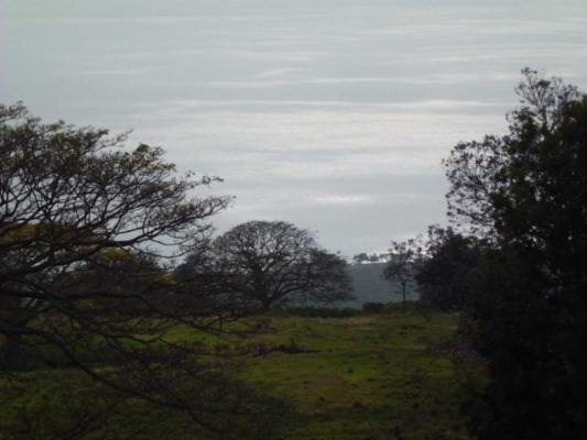 77-3147 Kuni O Road Holualoa, HI 96725 - Photo 7 of 7 a view of lake with green space