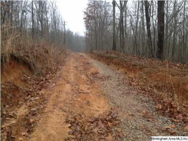 Gaines Street, Unit 80 Anniston, AL 36201 - Photo 4 of 20