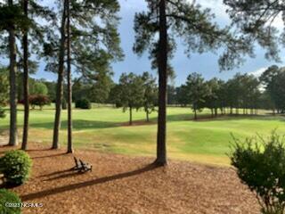 10 Pine Tree Road, Unit 225 Pinehurst, NC 28374 - Photo 11 of 11 jill11