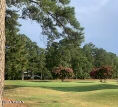 10 Pine Tree Road, Unit 225 Pinehurst, NC 28374 - Photo 10 of 11 jill10