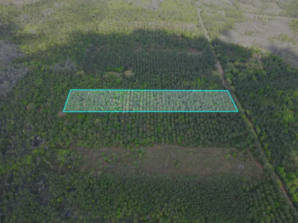 $50,000 | Tbd Southwest Paradise Way, Greenville, FL 32331