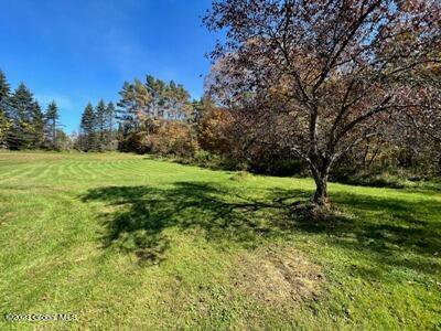 2832 Plank Road Moriah, NY 12956 - Photo 23 of 24 yard