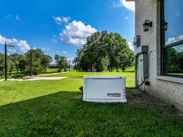 a view of a park with large trees