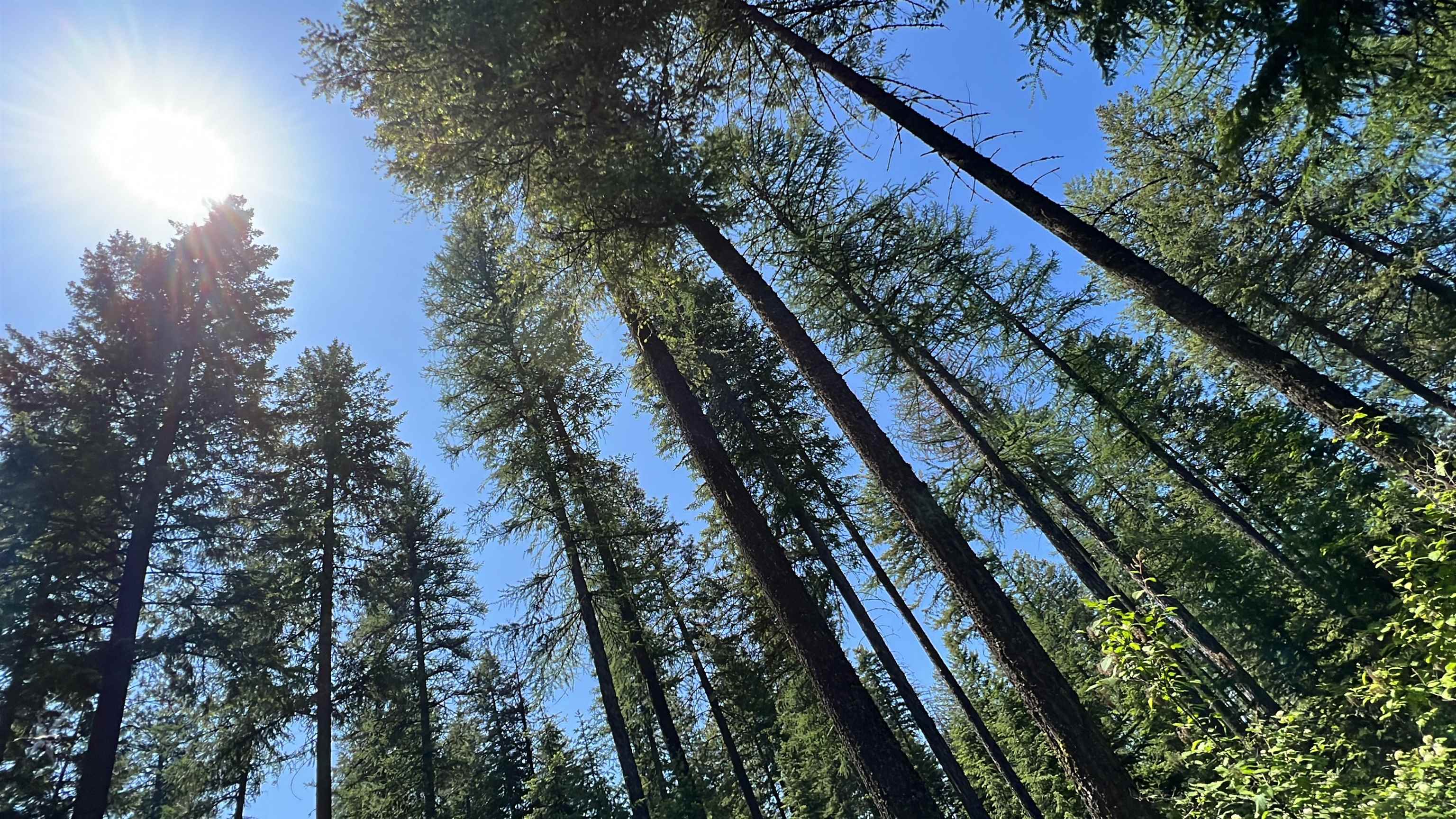 Nna Nna Undisclosed Address Elk, WA 99009 - Photo 11 of 11
