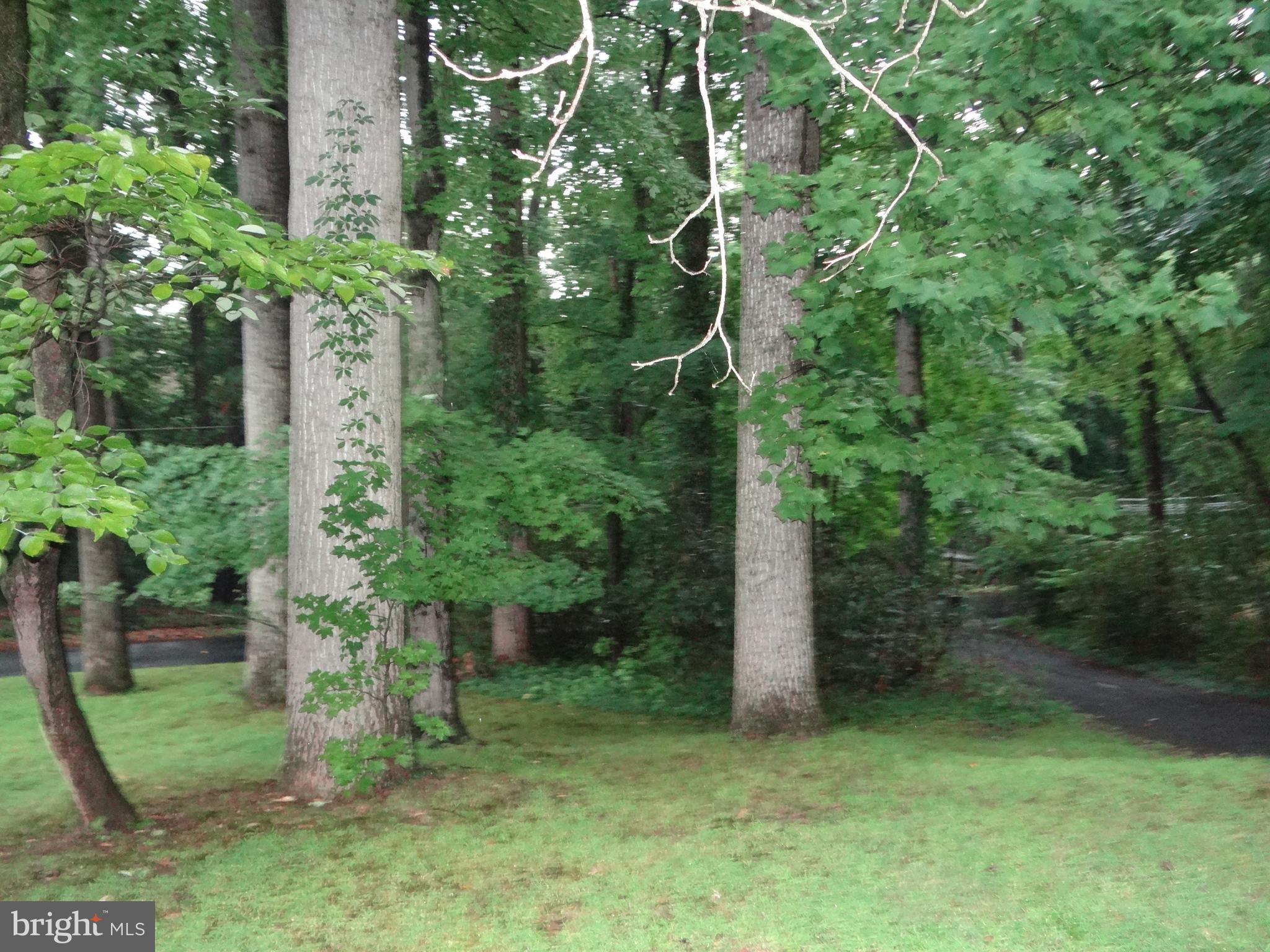 845 Dale Road Jenkintown, PA 19046 - Photo 11 of 53 Grounds