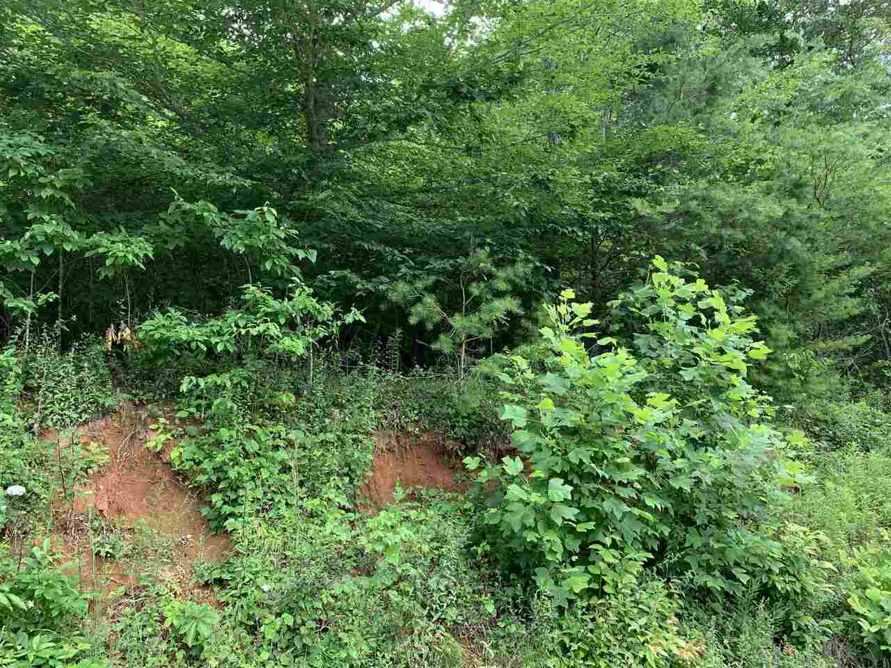 0 Middle Creek Road, Unit 1 Otto, NC 28763 - Photo 1 of 1 Gallery Image 1