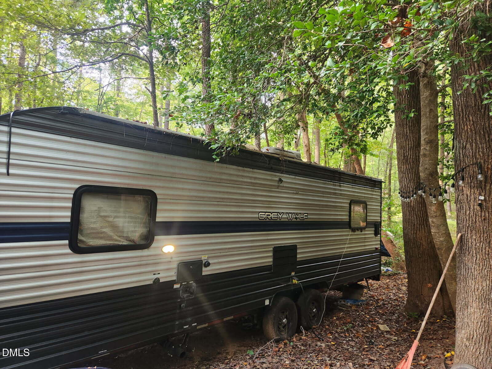 a view of a house with a yard and large tree