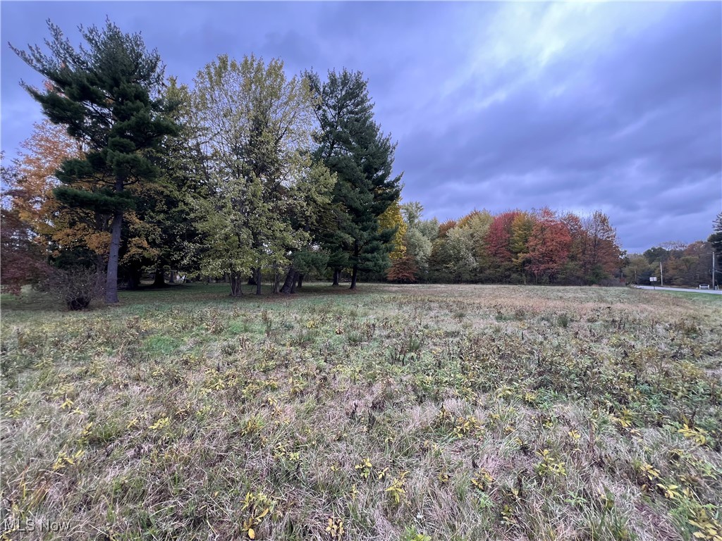 5269 South Raccoon Road Canfield, OH 44406 - Photo 10 of 10