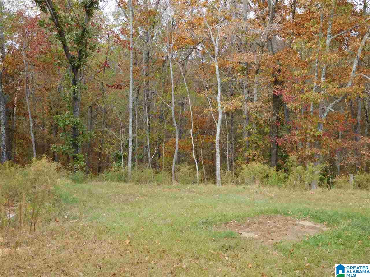2795 Wolf Pond Road Talladega, AL 35160 - Photo 12 of 24