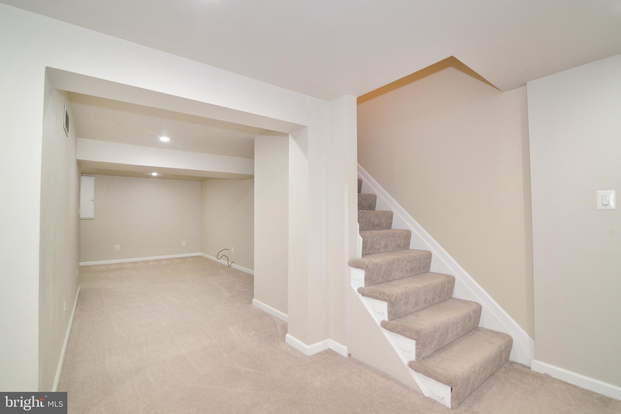 11882 St Trinians Court Reston, VA 20191 - Photo 29 of 35 A view of the lower level landing and stairs.