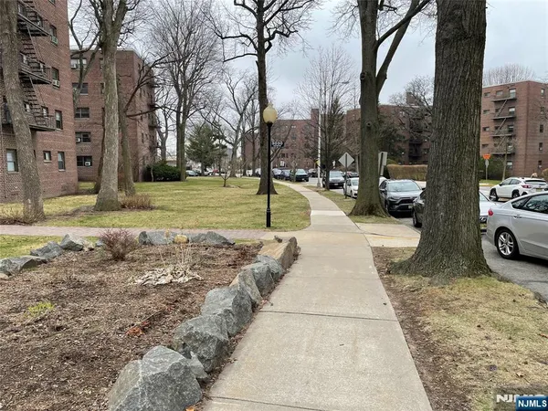 a view of a park with large trees